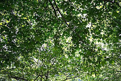 粉丝担忧Xbox Series S跑不动《GTA6》